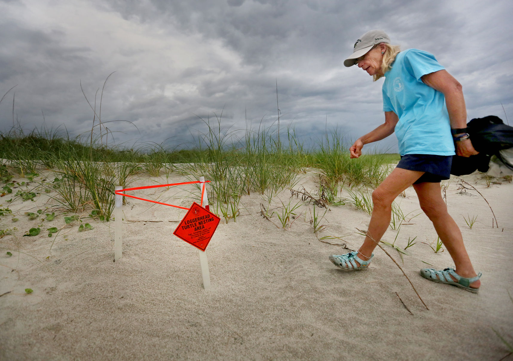 Leatherback nest.jpg (copy)